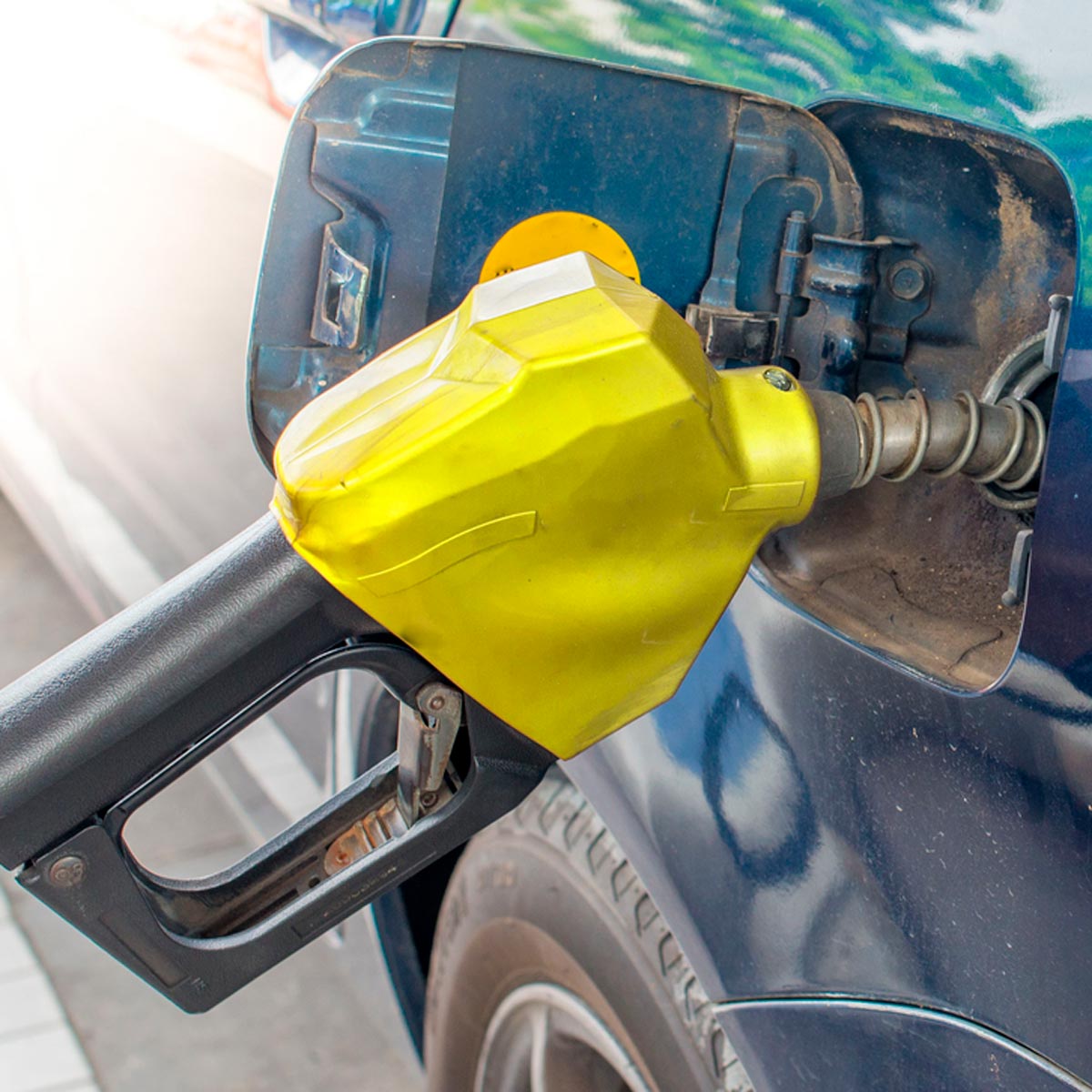 click for next image... slideshow image